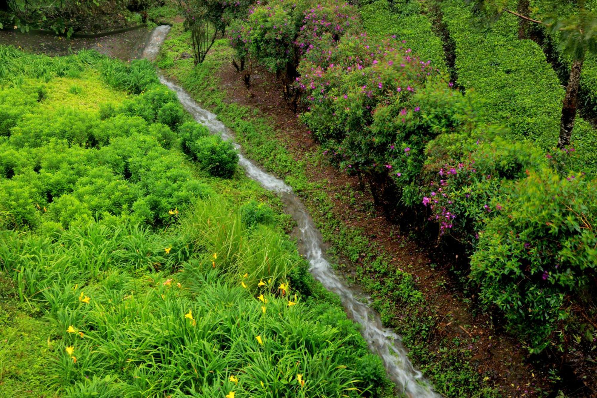 Camelot Resort Munnar Exterior photo